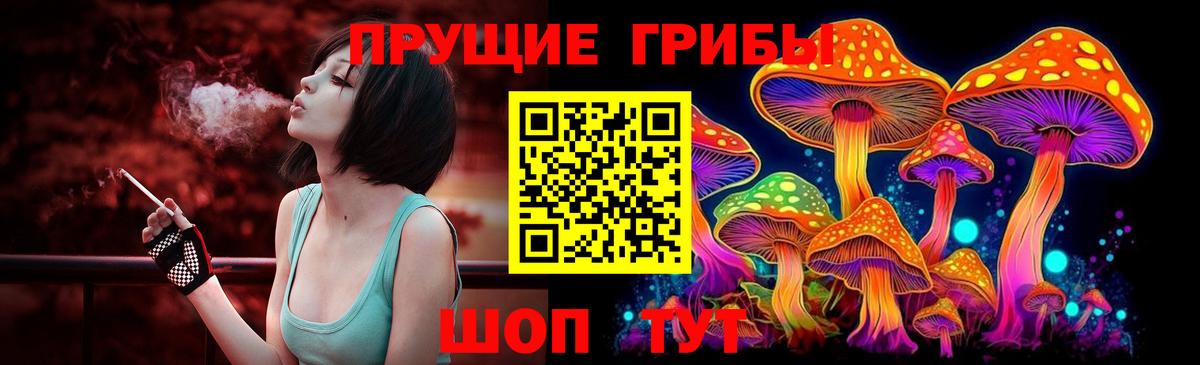 Псилоцибиновые грибы GOLDEN TEACHER Острогожск